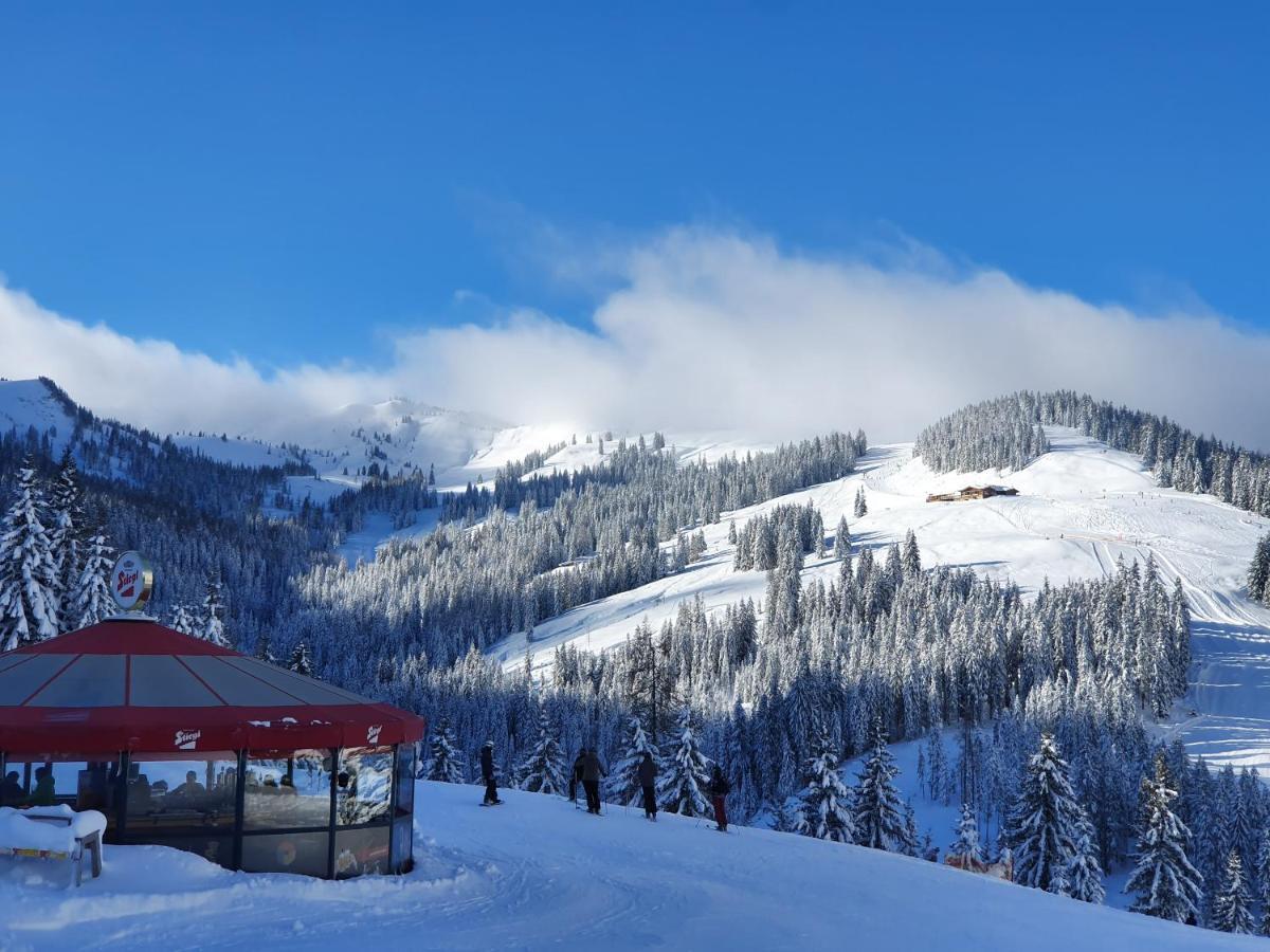 Haus Sonnleiten Maria Alm am Steinernen Meer Εξωτερικό φωτογραφία