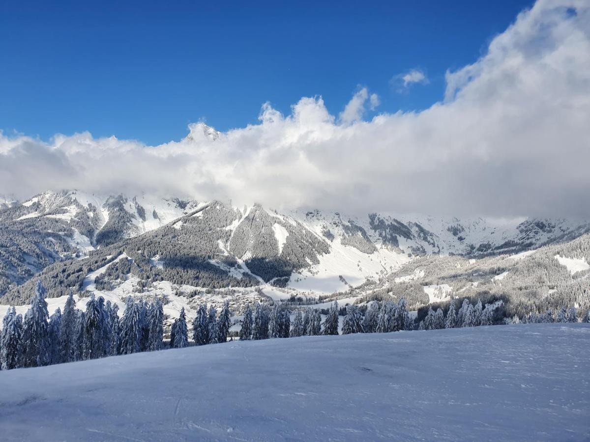 Haus Sonnleiten Maria Alm am Steinernen Meer Εξωτερικό φωτογραφία