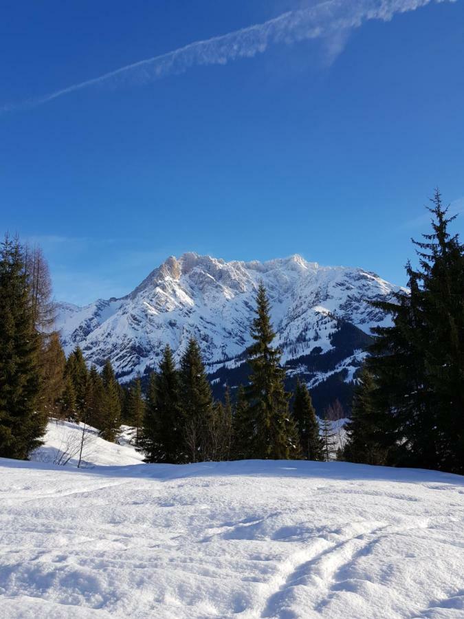 Haus Sonnleiten Maria Alm am Steinernen Meer Εξωτερικό φωτογραφία