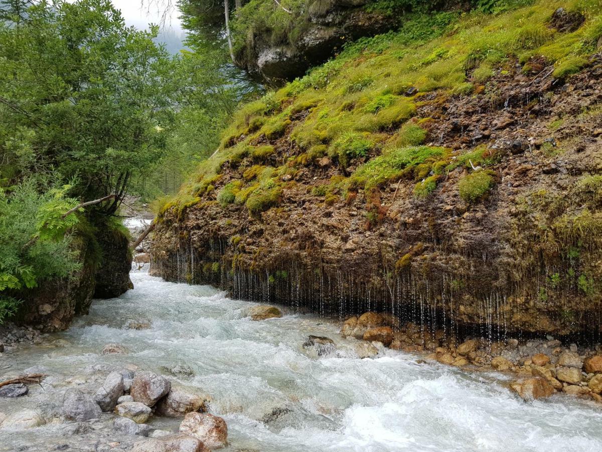 Haus Sonnleiten Maria Alm am Steinernen Meer Εξωτερικό φωτογραφία